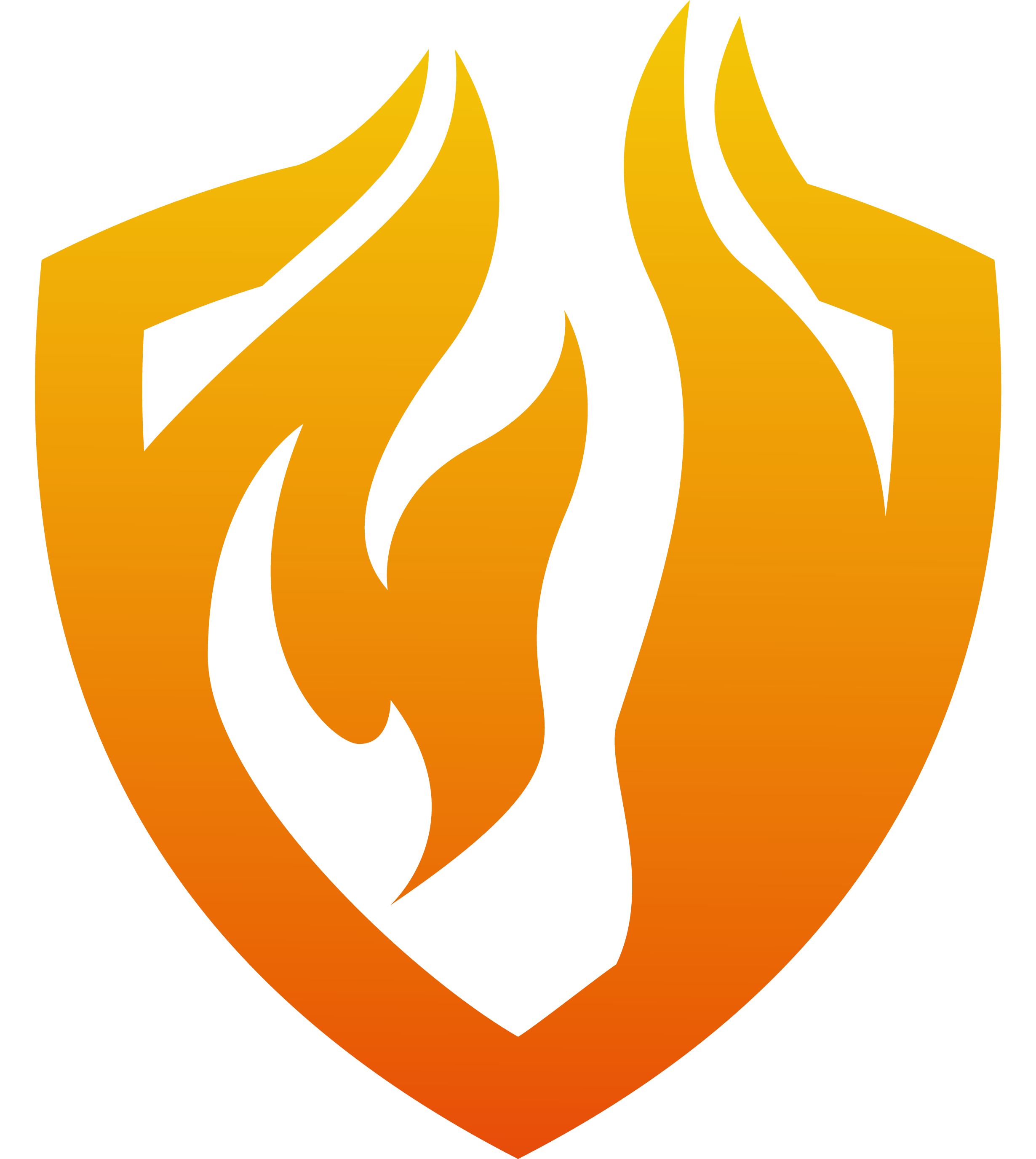 防焰一級檢測(CNS7614 A3125).png