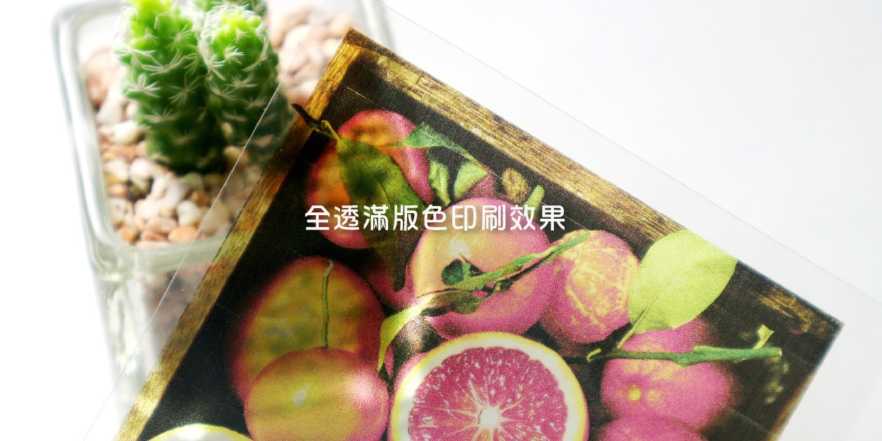 全透-02.jpg 全透-02.jpg